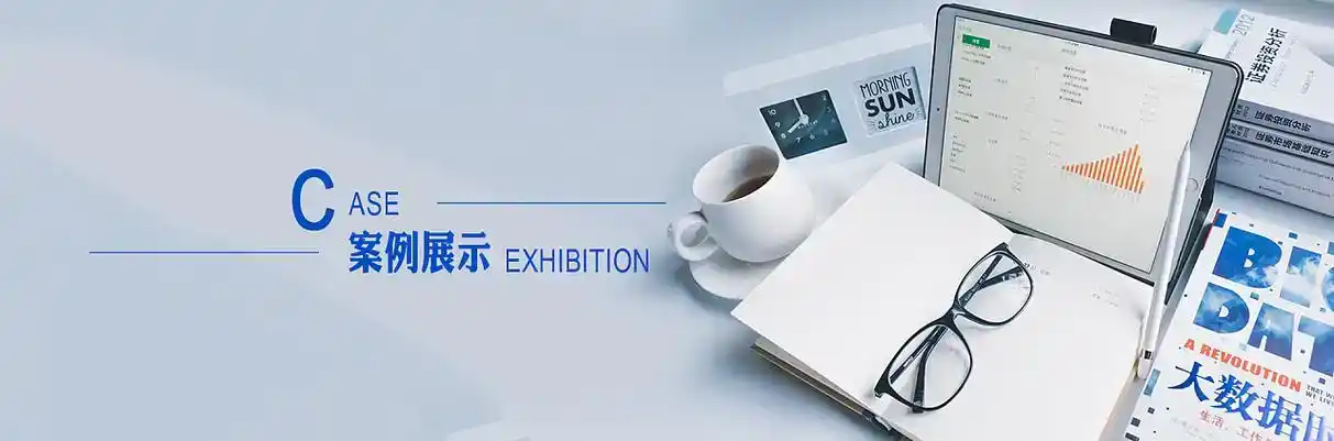 金州区软件开发